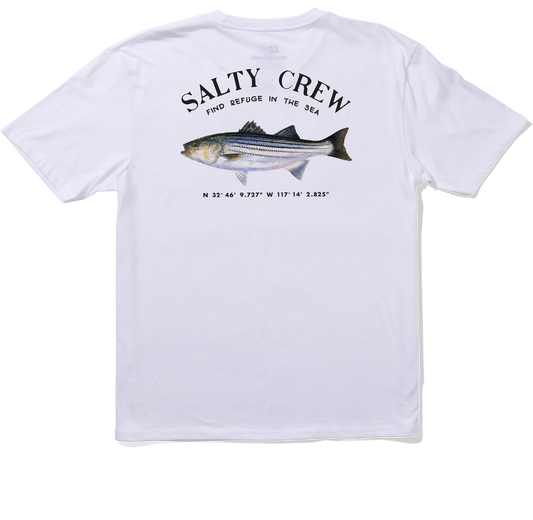 Striper Ss Tee - White