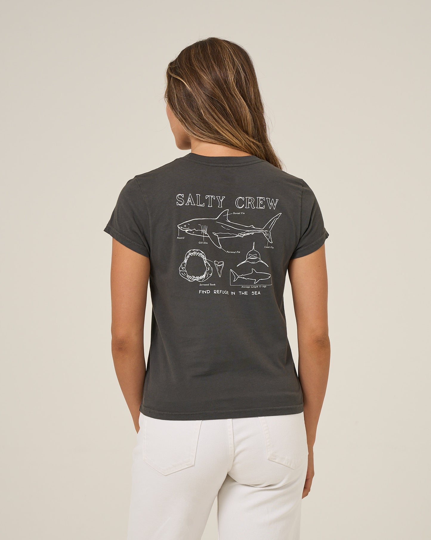 Shark Anatomy Modern Tee - Charcoal