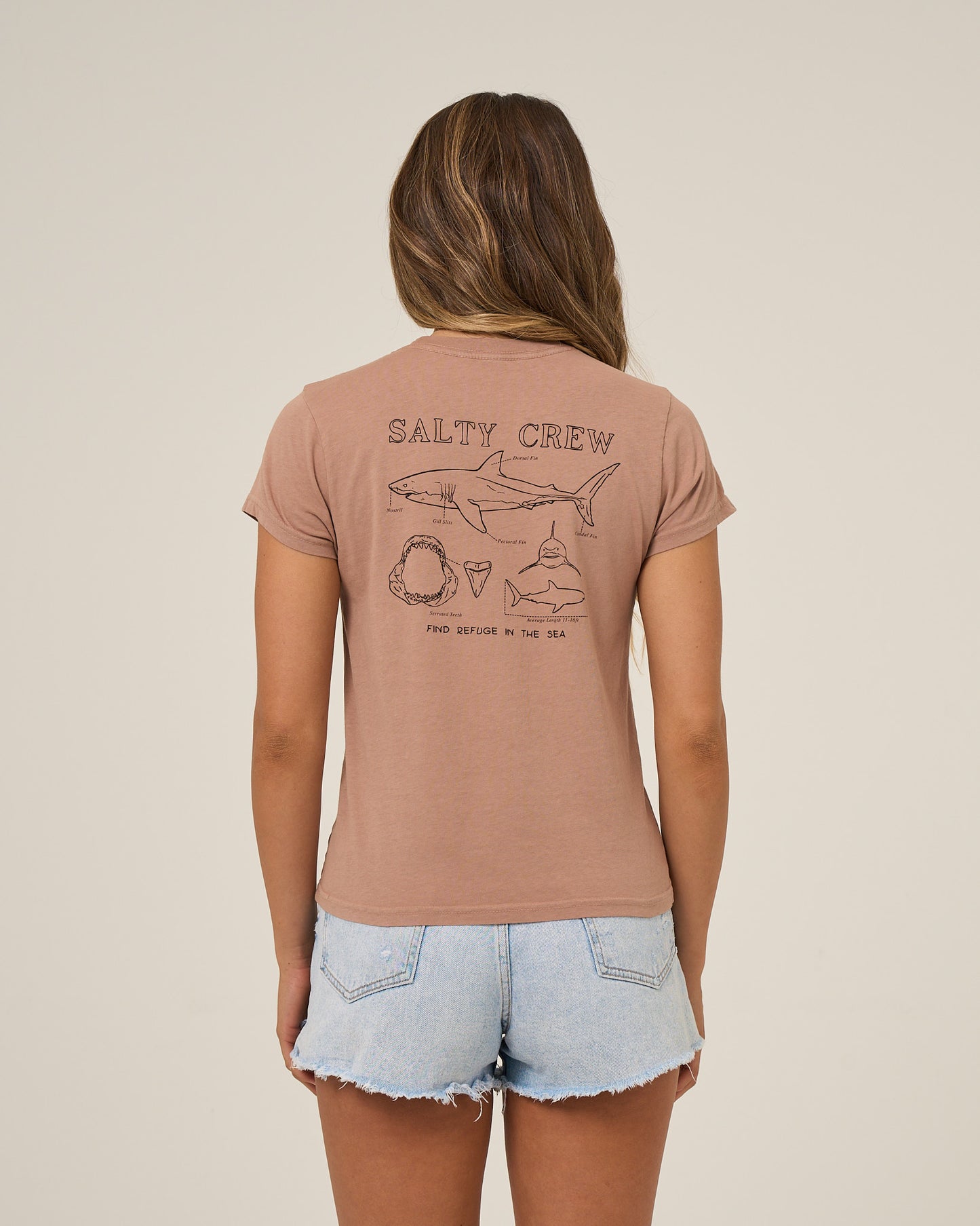 Shark Anatomy Modern Tee - Mocha