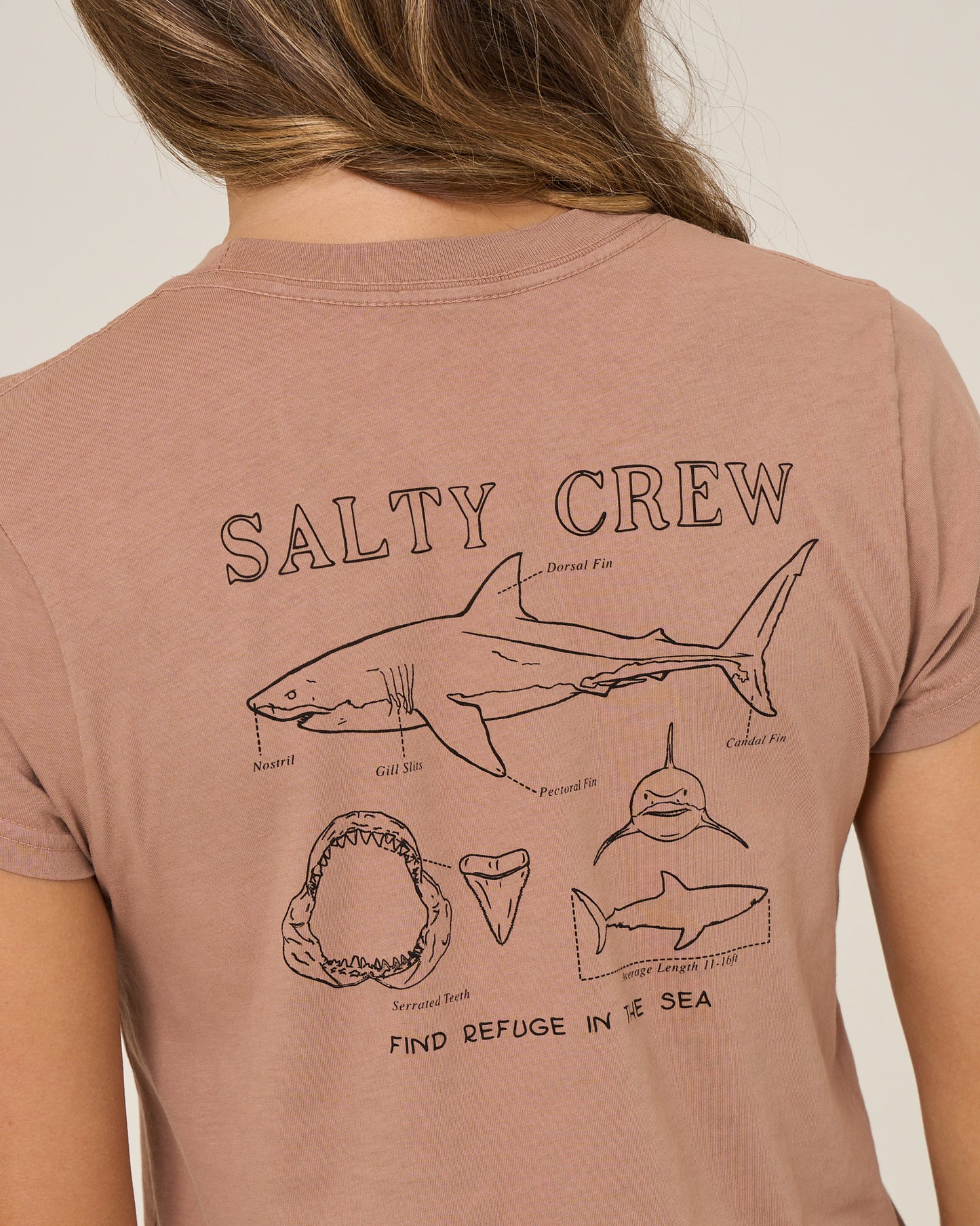 Shark Anatomy Modern Tee - Mocha