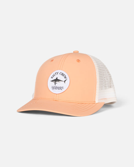 Bruce Trucker - Apricot