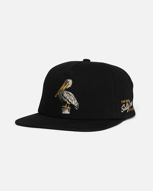 Coastal Snapback  - Black