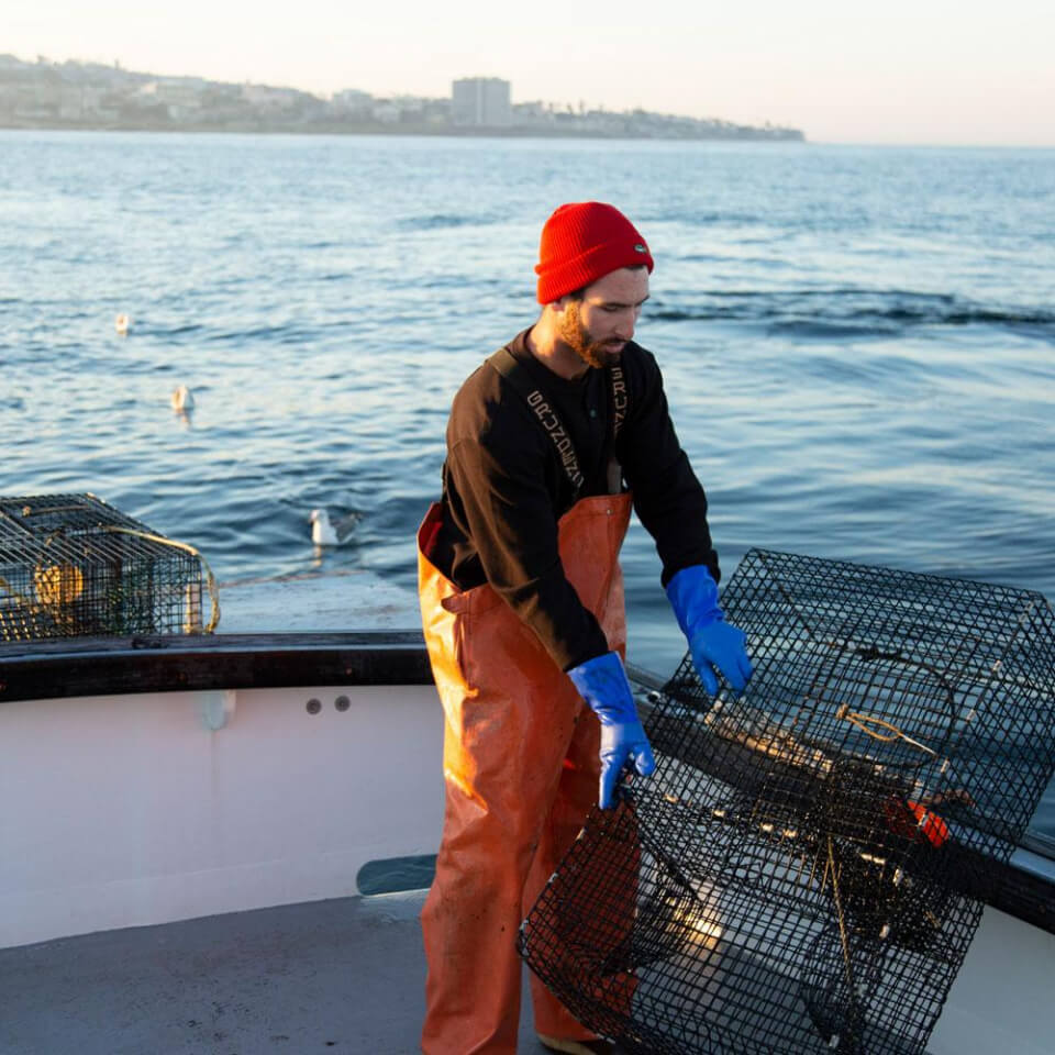 Salty Crew BEANIES FISHSTICKS BEANIE in RED