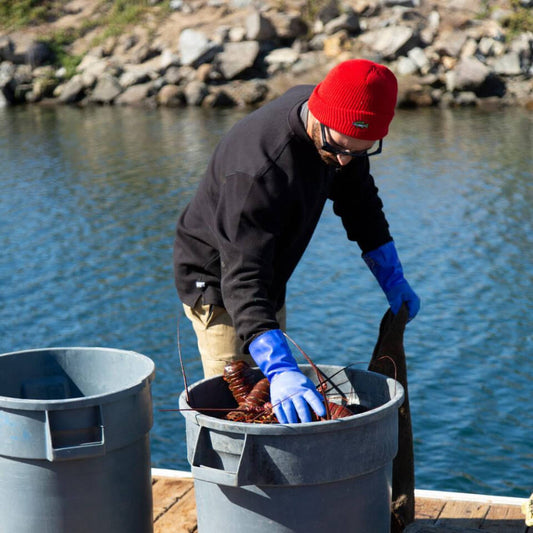 Salty Crew BEANIES FISHSTICKS BEANIE in RED